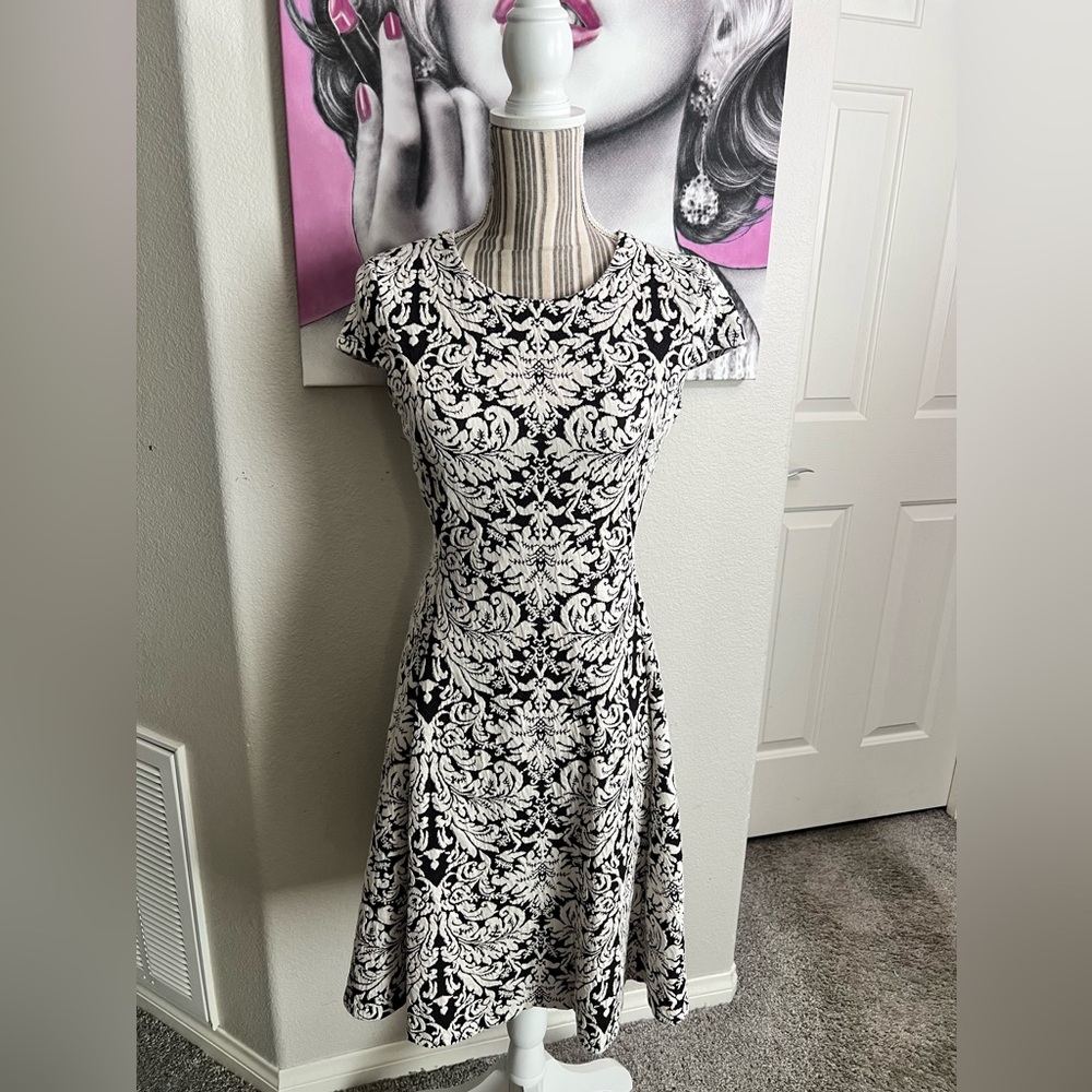 Alfani $99 Black n White Cotton Blend Muscle Sleeve Fit & Flare Midi Dress 6P